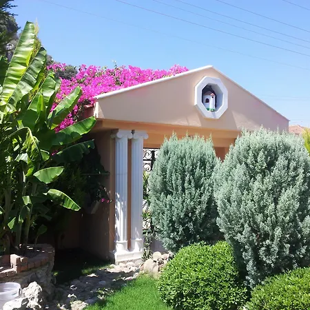Palace וילה *