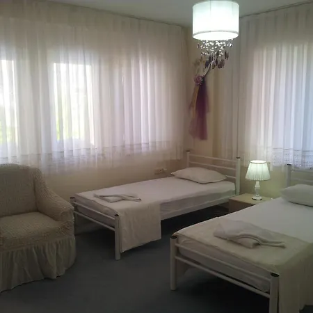 Palace וילה *
