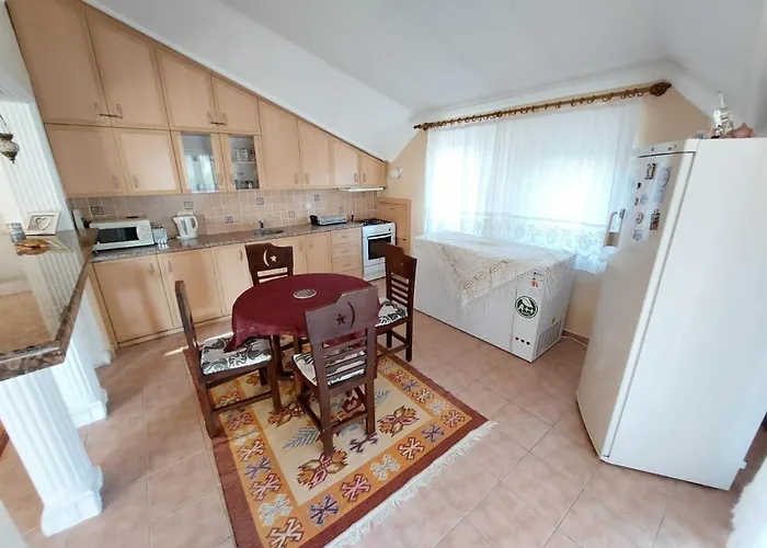 Palace Villa *