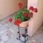 Villa Palace *