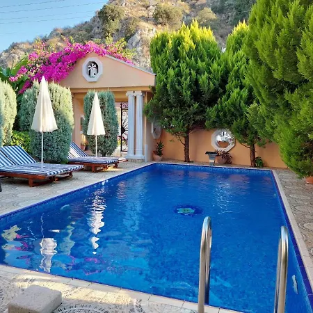 Villa Palace *