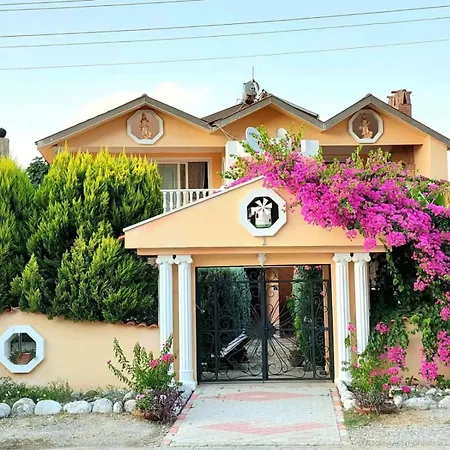 Villa Palace *