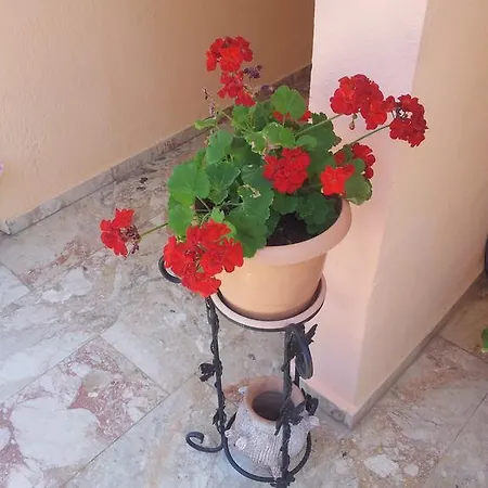 Villa Palace *
